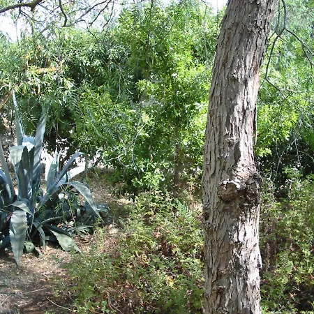 San Martino 加利波利