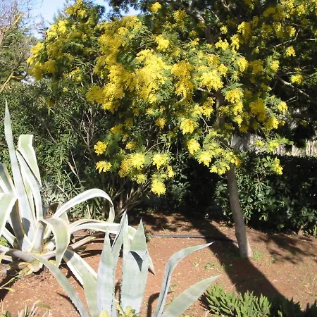 度假居 San Martino *