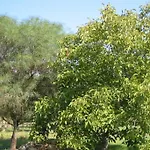 San Martino גאליפולי