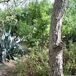 San Martino גאליפולי