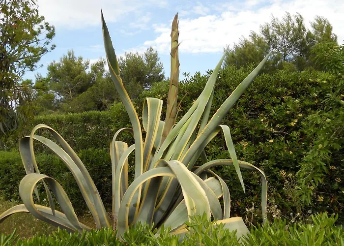 San Martino * Gallipoli