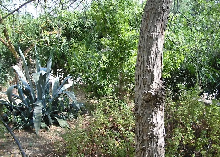 San Martino Gallipoli