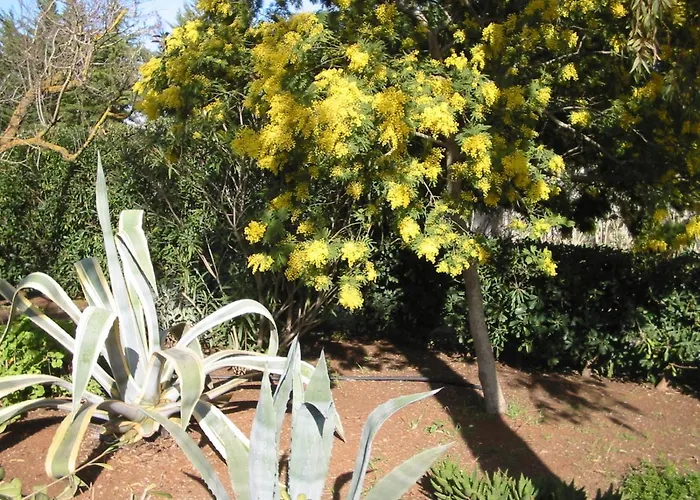 Casa vacanze San Martino *